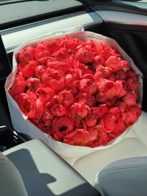 This huge peonies bouquet (35 pieces) will melt each women’s heart.