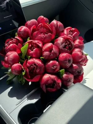 Red burgundy peonies bouquet in Cannes 06