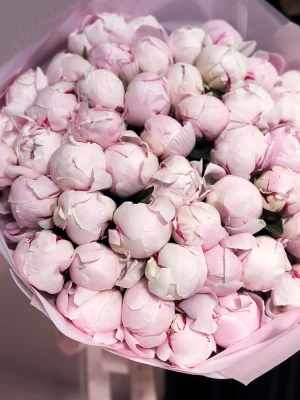 light-pink-Peonies-Sarah-Bernardo-cannes