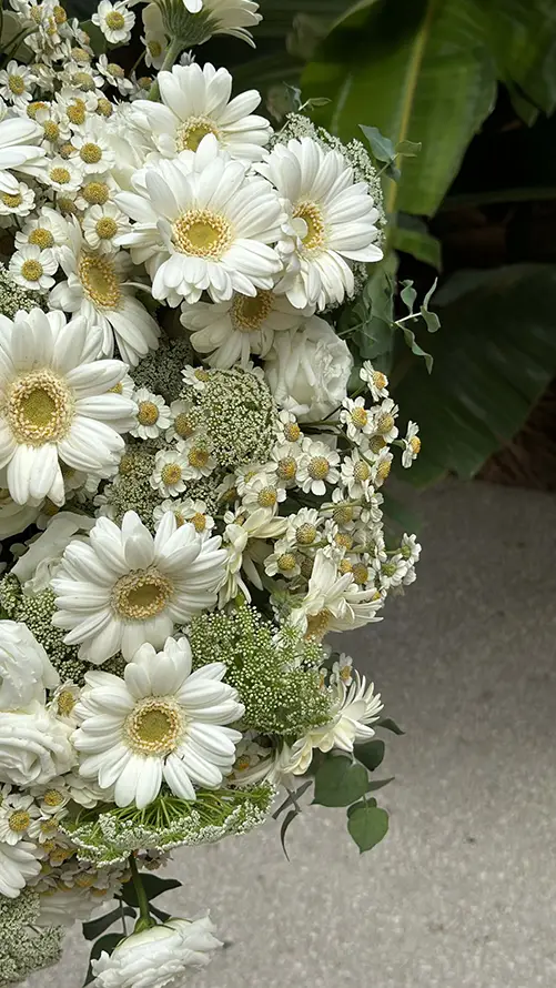 EVA White Gerbera Bouquet – Fine Summer Texture EVA White Gerbera Bouquet – Fine Summer Texture