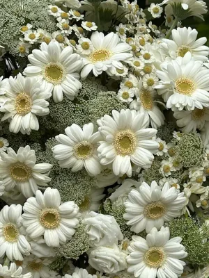 Detailed arrangement of white gerbera, lisianthus, chamomile, ammi, and greens in a luxury summer bouquet
