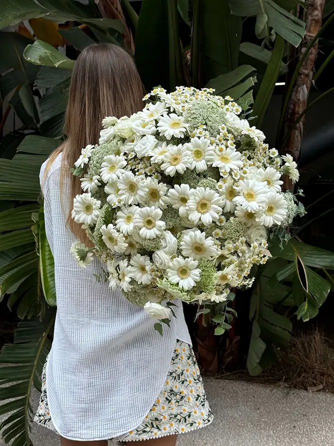 The EVA White Gerbera Bouquet, carried gracefully in a garden setting, embodies refined summer sophistication with white blooms and fresh foliage Elegant large white gerbera bouquet with lisianthus and chamomile, carried by a woman outdoors