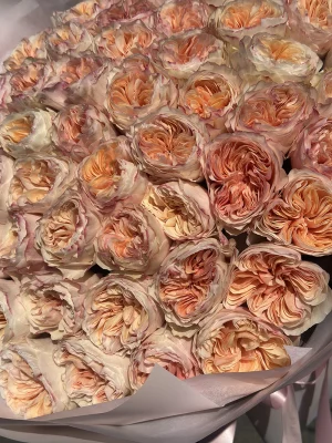 "Sunset Charm Bouquet - Express Gratitude with Peach Roses