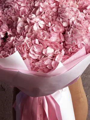 Close-up Dreamy Pink Cloud pink hydrangea petals Côte d’Azur