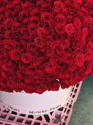 Luxury box with 1000 red roses prepared for Valentine’s delivery in Antibes