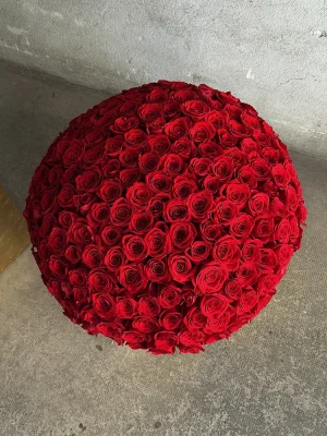Luxury bouquet of 200 red roses prepared for Valentine’s delivery in Antibes