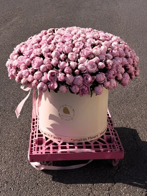La Vie en Peony